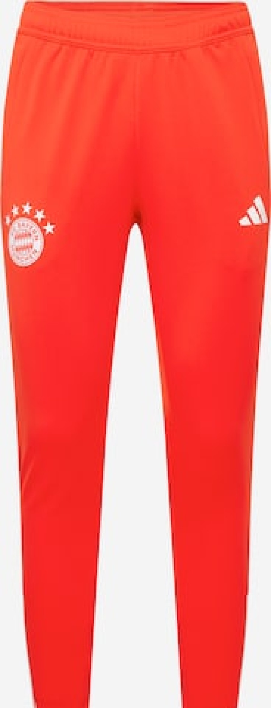 Hombres Chandal Pantalones | Pantalon De Entrenamiento Slim Fit 'Fc Bayern Munchen Tiro 23'