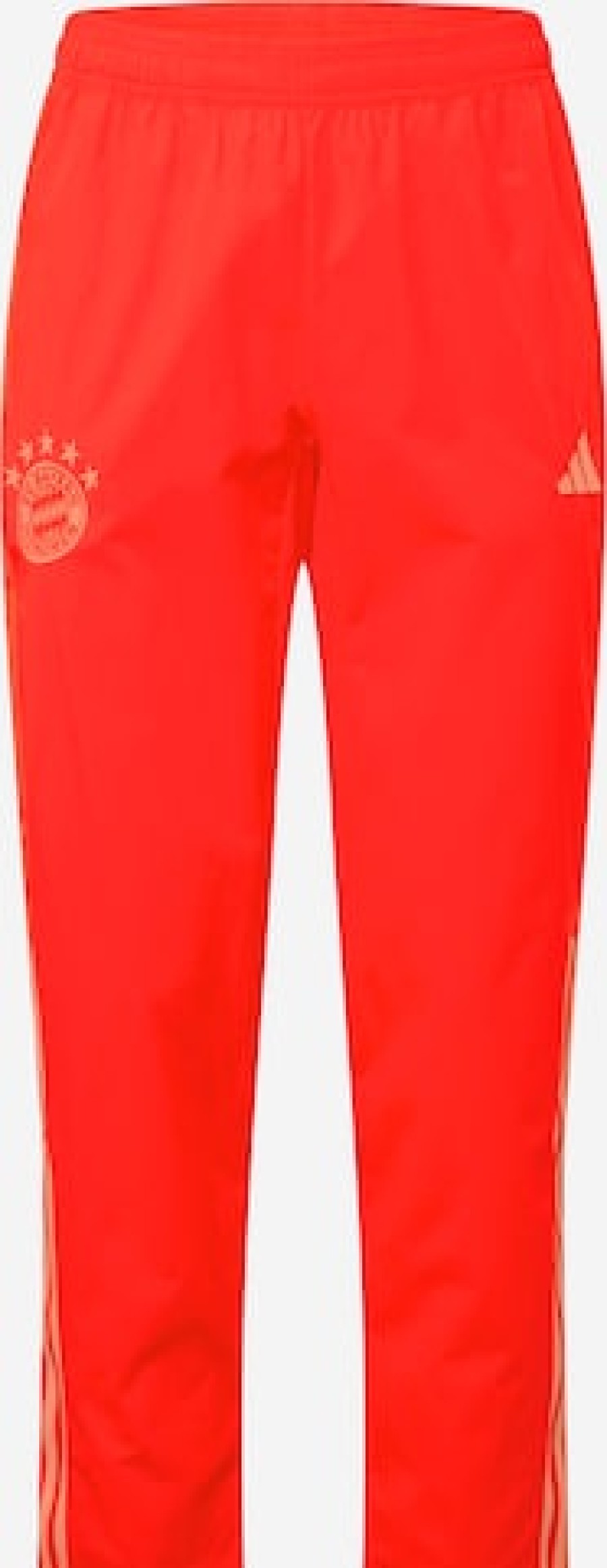 Hombres Chandal Pantalones Deportivos | Pantalon Regular De Entrenamiento 'Fc Bayern Munchen'